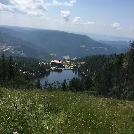 Top Ferienwohnung Schwarzwald Europapark Rust Barrierefrei 110 Qm Neuried  Buitenkant foto