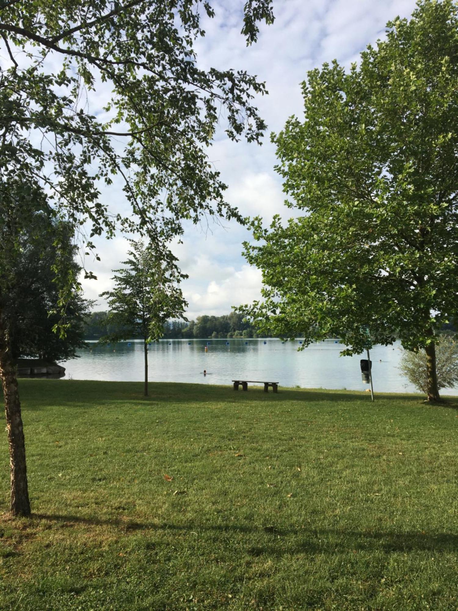 Apartment Schwarzwald Europapark Rust Barrierefrei 110 Qm Neuried (Baden-Wurttemberg)